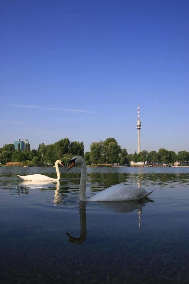 Ajo - Alte Donau Terrace - Self-check-in * Viena