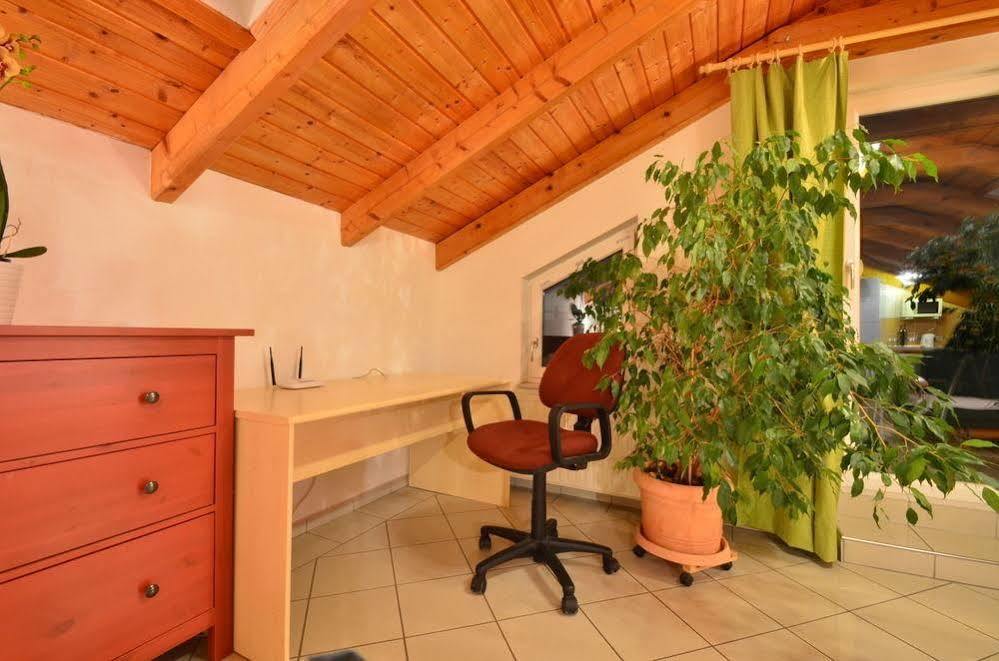 Ajo - Alte Donau Terrace - Self-check-in Apartament *